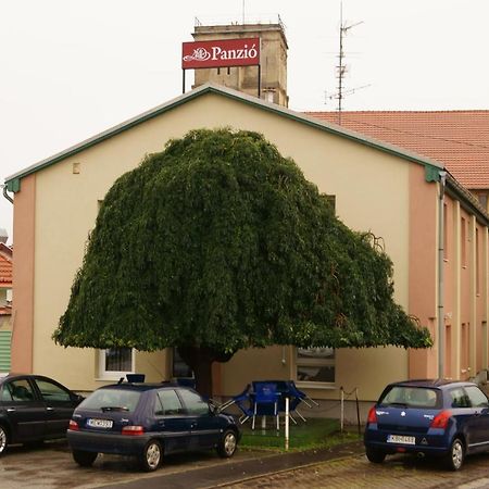 Malomudvar Étterem Cukrászda Panzió és Rendezvényház Gyöngyös Extérieur photo